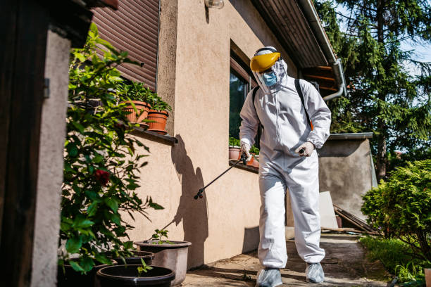 Best Residential Pest Control  in South Toms River, NJ