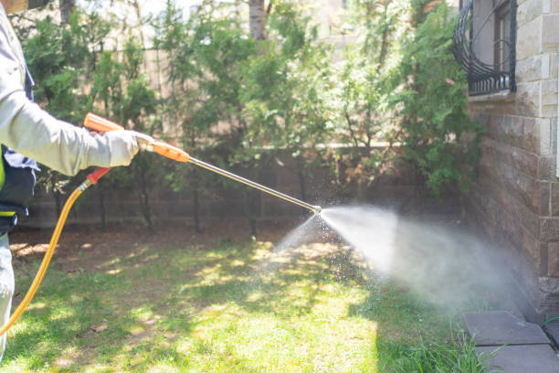 Spider Control Near Me in South Toms River, NJ